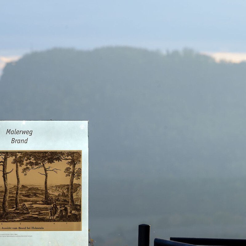 Blick auf den Lilienstein